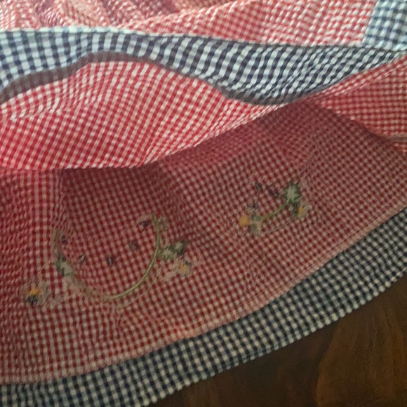 Good Lad Red & Blue Gingham Strawberry Applique Dress - Picture 6 of 6
